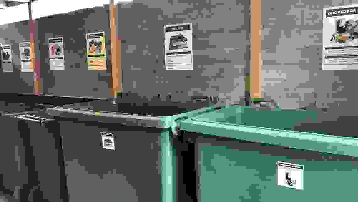 Stora gröna avfallskärl i ett återvinningsrum